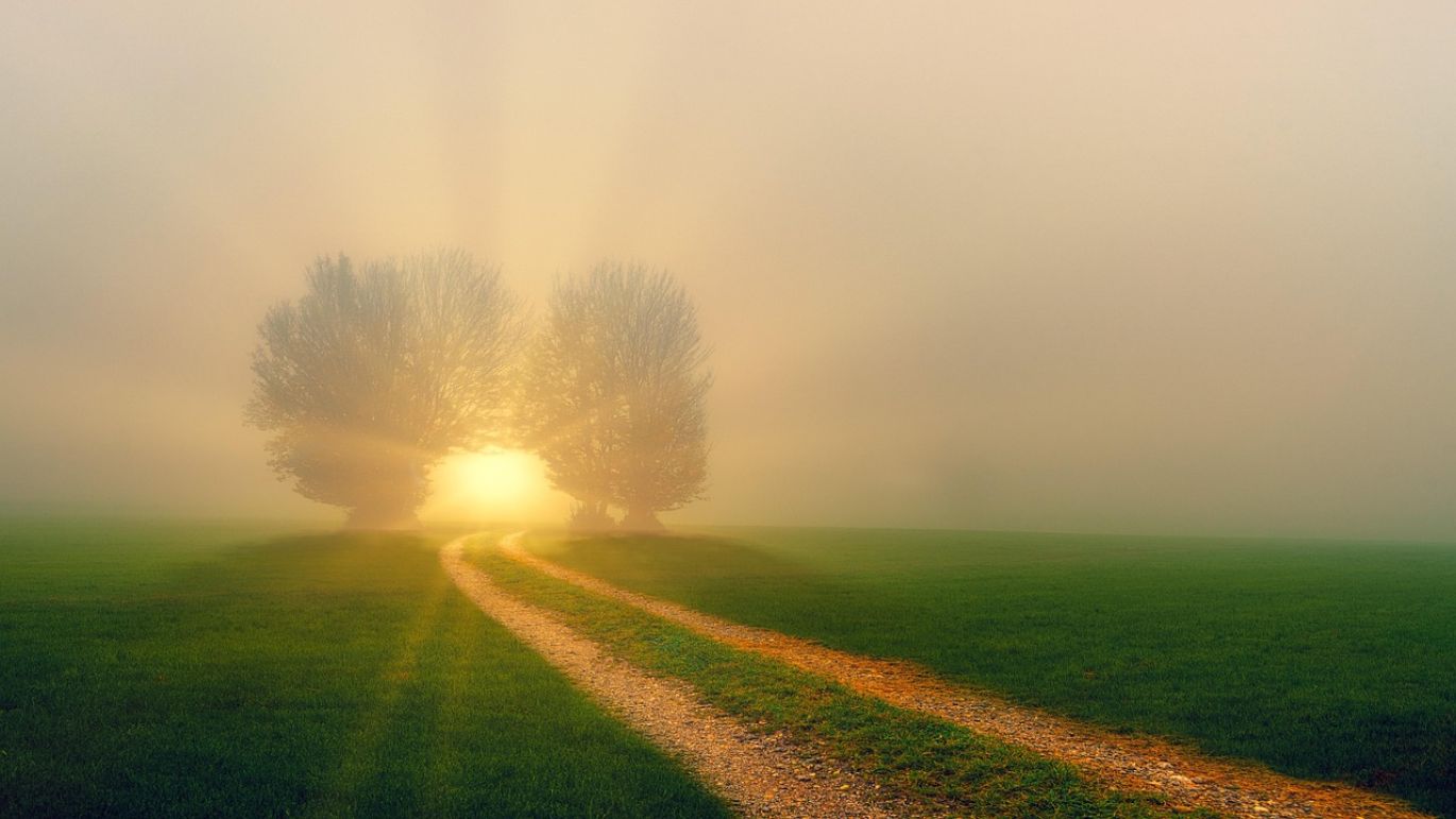 Adj Inno Color Beam 12