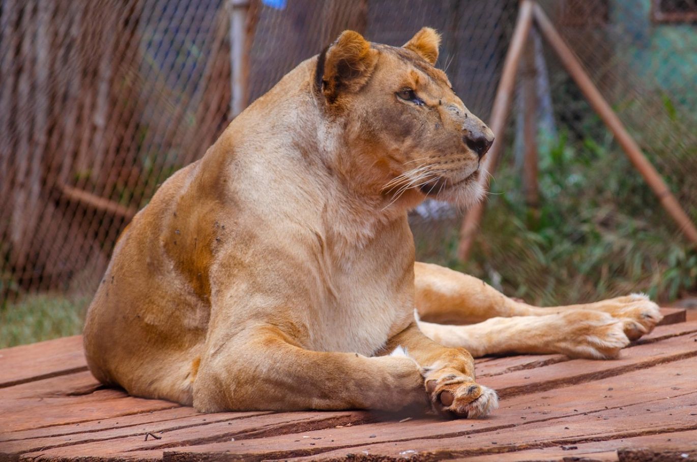 Alumni Event Planning