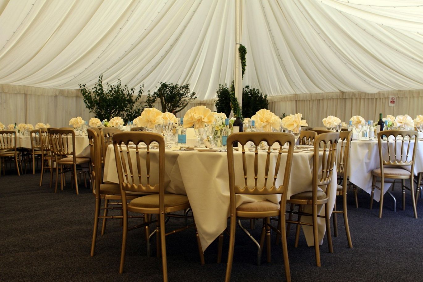 Amazing Tent Rentals