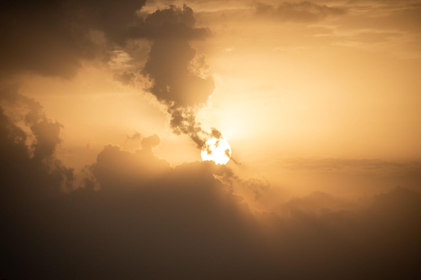 American Dj Vizi Beam 5r