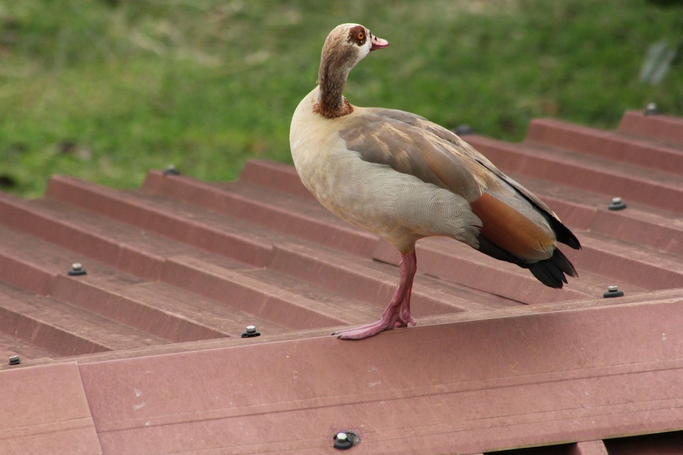 Brand And Corporate Identity