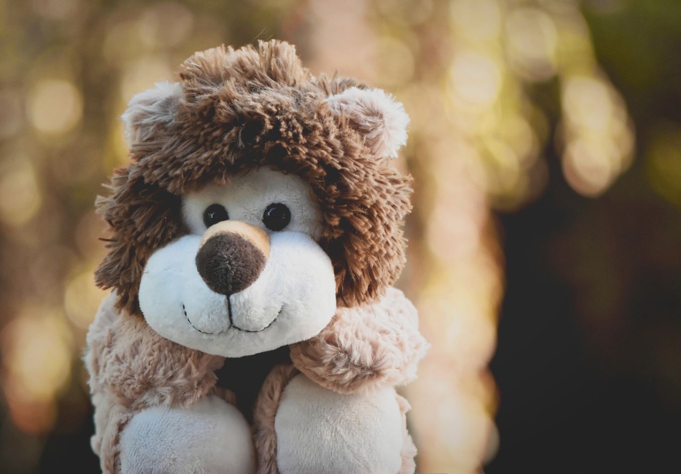 Childrens Party Soft Play Hire