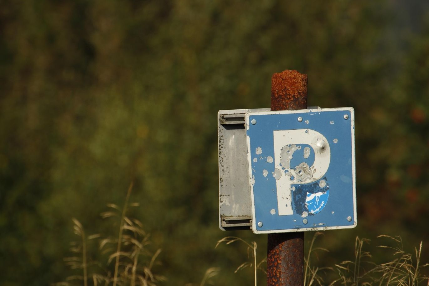 Custom Event Parking Signs