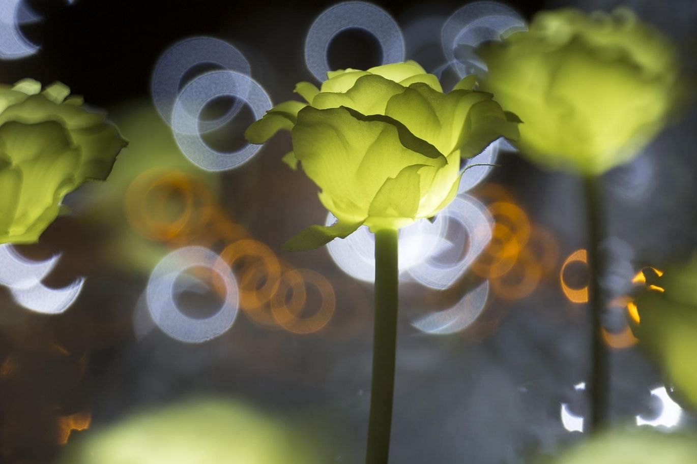 Led Wall Rental Cost