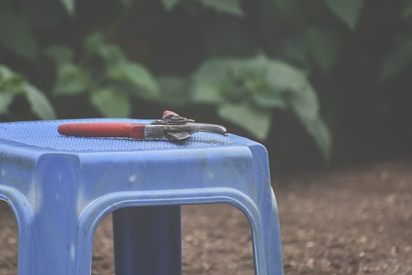 Plastic Party Chairs