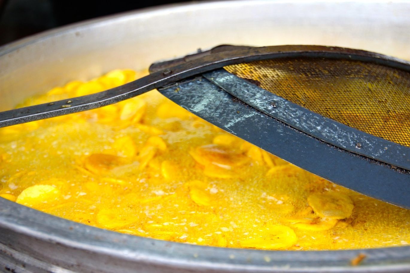 Propane Fryer Rental