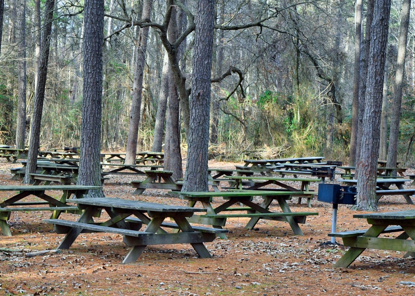 Rent Wooden Picnic Tables