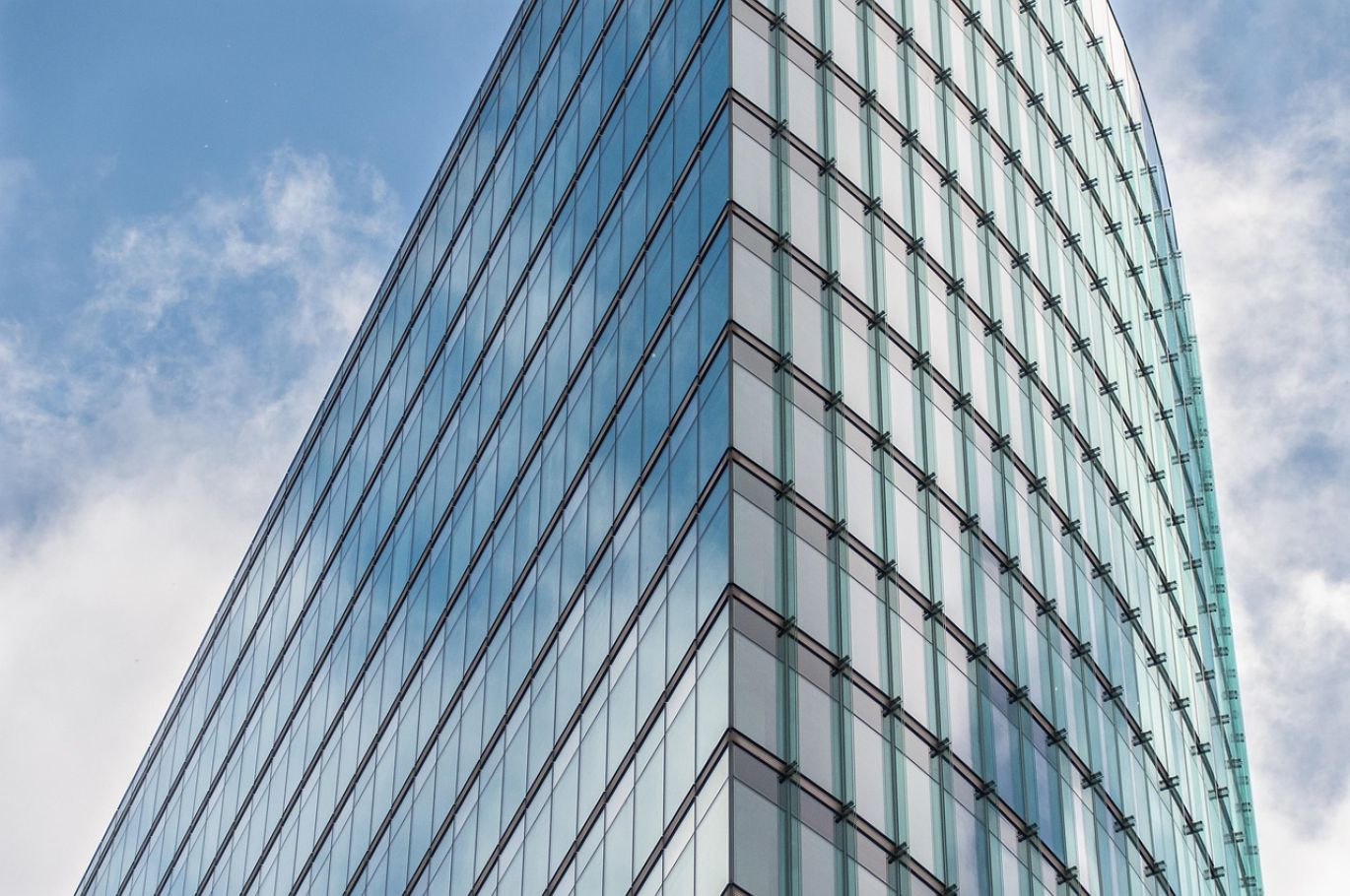 Team Building Event Planners