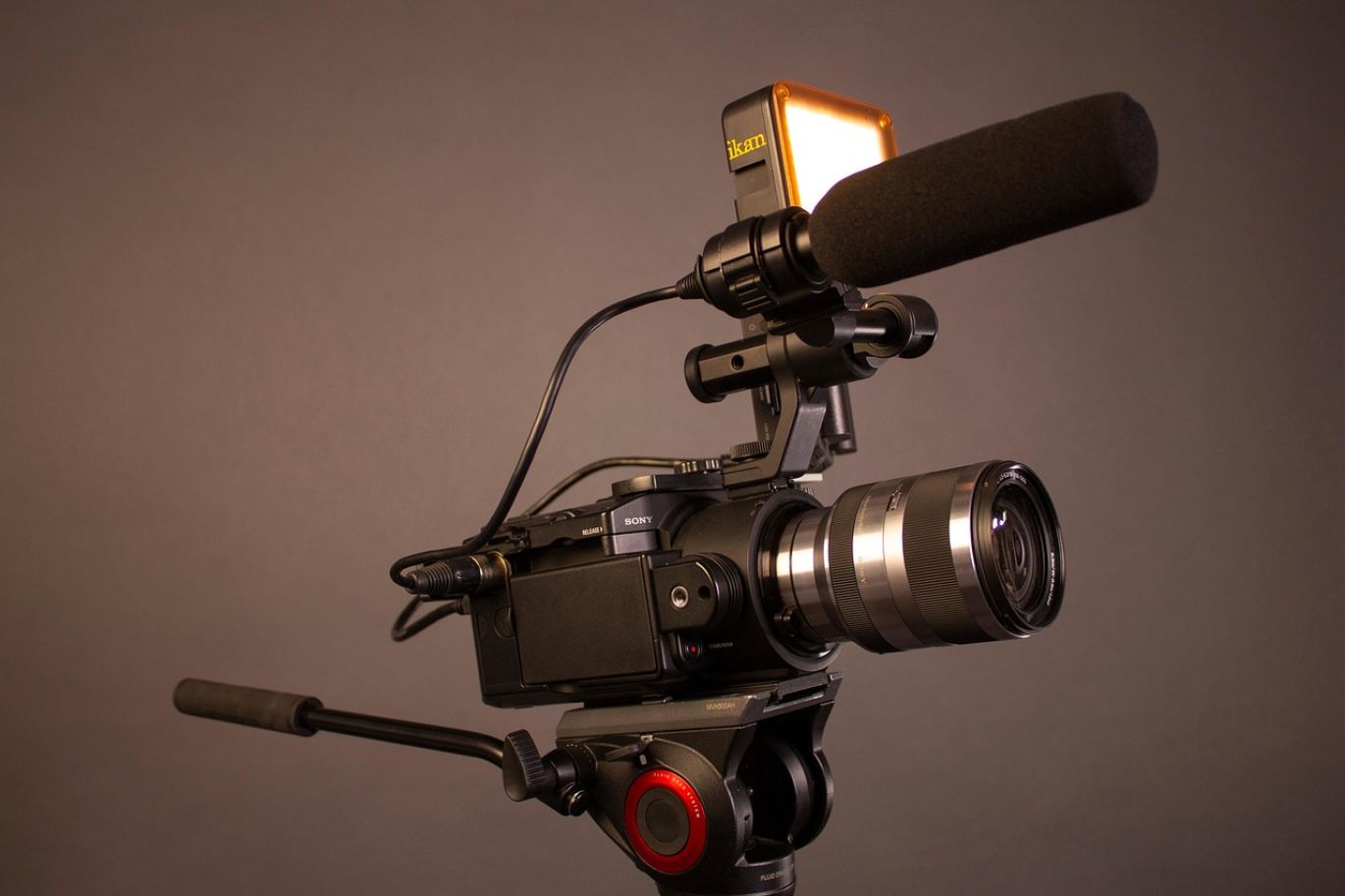 Wildlife Videography Equipment